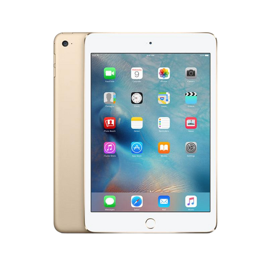 iPad Mini 3 (WiFi Only)