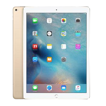 iPad Pro 2 - 12.9" (WiFi Only)